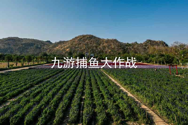 九游捕鱼大作战